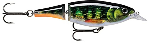 Rapala Unisex vuxen X-Rap skarvad shad fiskedrag fisketillbehör tvådelad artificiellt bete sötvatten spinnbeten löpdjup 1,2–2,4 m fiskedrag 13 cm, 46 g tillverkad i Estland Live Perch, standard
