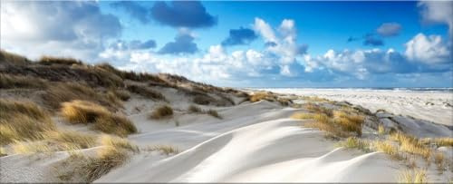 artissimo Glasbild 125x50 cm Bild Strand Dünen AG5398A – modernes Panorama Bild aus Glas, großes Wandbild XXL Querformat, Wanddeko Wohnzimmer beige blau maritim