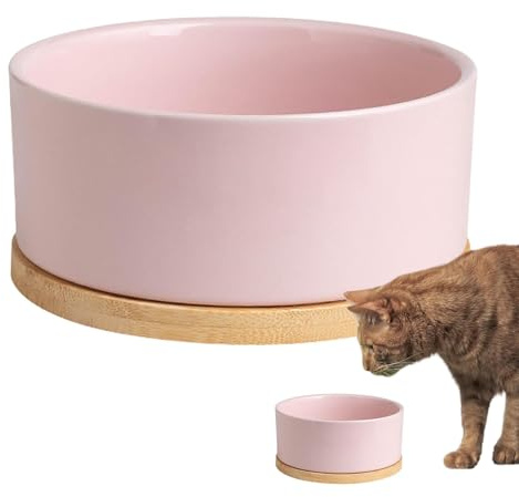 Sellf - Ciotola riscaldata per animali domestici, portatile, con alimentazione USB, con grande capacità, per cani, gatti e uccelli