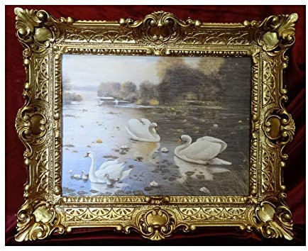 Lnxp Hermosa pintura cuadro cuadro con marco barroco antiguo Repro marco cisnes 56 x 46 cm 50B