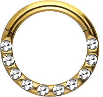 PIERCINGLINE Chirurgenstahl Segmentring Clicker | Kristalle + EPOXY Schicht | Piercing für Septum Tragus Helix | Farb & Größenauswahl
