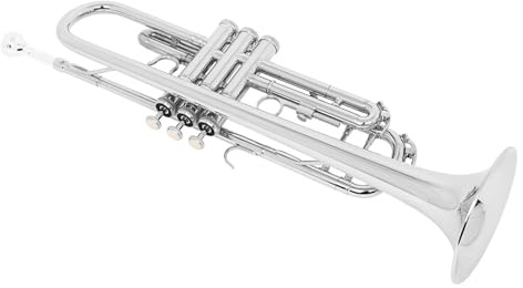 Anfänger Trompeten Trompete B-Dur Messing Anfänger Erwachsene Blasinstrument Trompete Profi Tragbar Vollton(Silver)