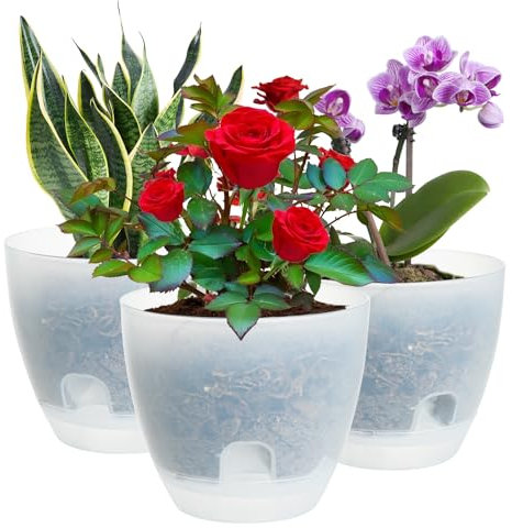 IWTTWY Self Watering Plant Pot Set Pack of 3, 15cm Clear Plastic Flower Pots, Orchid Pots Planters for Indoor with Drainage Maintains, Seed Seedling Pots for African Violet, Rose, Tulips (Clear)