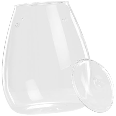 Hemobllo Vase Hydroponique Terrarium Verre Récipient pour Plantes Jardinière Décorative Transparente