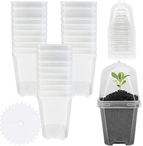 EBaokuup 30 transparente Pflanzentöpfe mit Luftfeuchtigkeitskuppel – 7,6 cm großer Kunststofftopf mit Etiketten, Kleiner Pflanzenbehälter für Setzlinge/Gemüse/Sukkulenten/Stecklinge