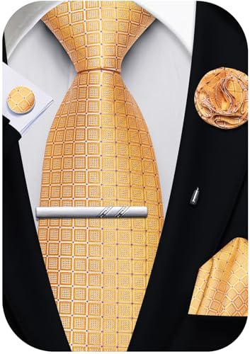 Ailisus Men's Checked Tie and Pocket Square Set Weddings Business | Formal neck tie with matching accessories for business attire, parties, proms, graduations, ceremonies and special occasions