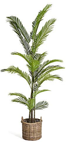 4Ever Green Künstliche Große Grüne Phoenix Palme Farnpalme Kokospalme Baum Kunstpflanze Kunstblume Kunstbaum Zimmerpflanze im Plastik Topf, 220 cm Hoch
