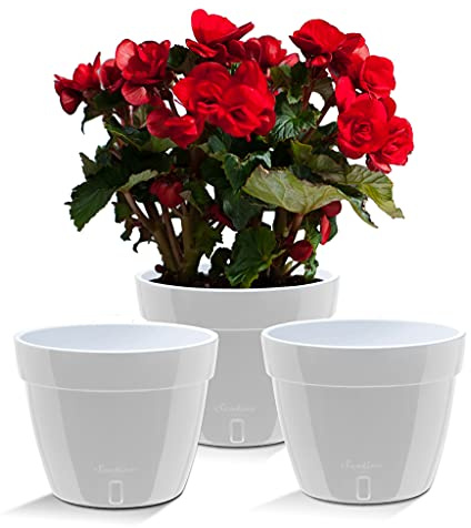 Santino ASTI Lot de 3 Pots de Fleurs à Arrosage Automatique - 20 CM - Auto-Arrosant - avec Indicateur de Niveau d'eau - pour Toutes Les Plantes D'intérieur (Ø 20 cm, H 16 cm, 4L - Gris/Blanc)