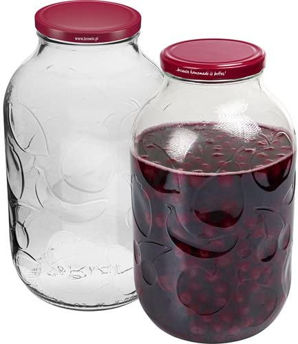 Biowin Gläser mit Deckeln, 4 Stück Einmachgläser mit Schraubverschluss Ø 100 mm, Spülmaschinen- & Mikrowellengeeignet, Gurkenglas für Lagerung von Lebensmitteln & Aufbewahrung von Trockenprodukten