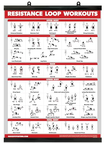 Palace Learning QUICKFIT Resistance Loop Bands Workout Poster - with Plastic Frame - Exercise Chart for Resistance Band Loops - 18 x 24