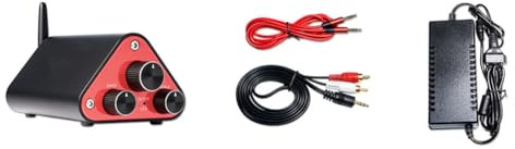 Staeekkzy Amplificatore Stereo di Design Compatto 2CH Ricevitore HiFi Suono Ad Alta fedeltà Ideale per I Sistemi Audio Domestici Plug UE