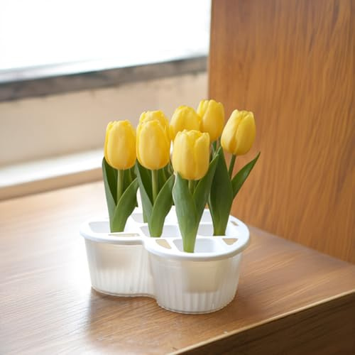 Vaso idroponico per bulbi di tulipano, contenitore per la coltivazione di piante con serbatoio d'acqua trasparente, fioriera idroponica multi-foro per giardinaggio domestico narciso giacinto