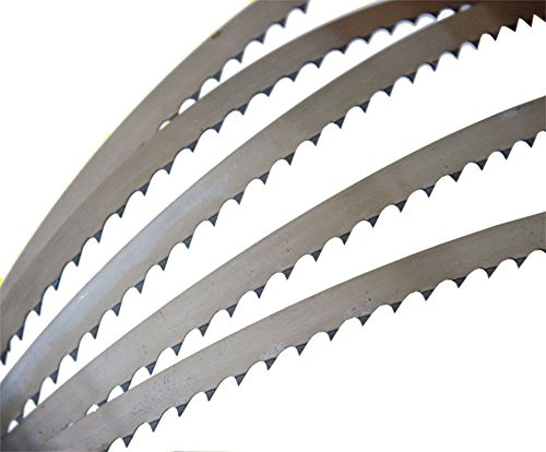 Holzprofi Holzbandsägeblatt 2560 mm für u.a. SBW3501 | Langlebiges Bandsägeblatt zum Schneiden Made in Schweden | Zahnspitzengehärtet | Hitzebeständig | Verschiedene Breiten zur Auswahl (8mm)