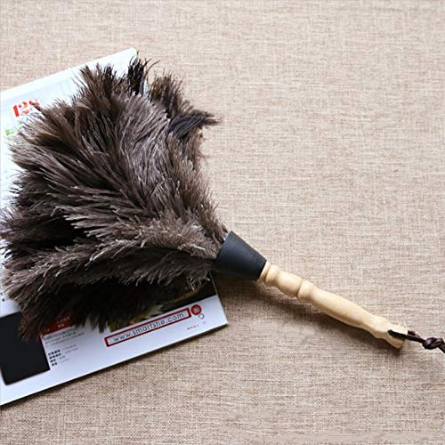 Omabeta Autruche Anti Statique Outil De Nettoyage Duster Dépoussiérage Brosse Maison Chambre Salon Hôtel Voitures