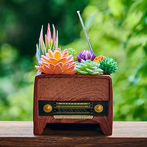 ORIGARDEN Succulent Pot Planter Vintage Home-Decor - Plant Pot Indoor for Succulents Plants Live,Small Flower Pot Retro Radio Desk Decor Container for Air Plant