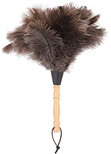 Autruche Plumeau, Plumeau D'autruche, Plumeau Moelleux Naturel Véritable Plumes D'autruche Avec Manche En Bois Plumeau D'autruche Réutilisable Pour Fournitures De Nettoyage, Maison, Bureau