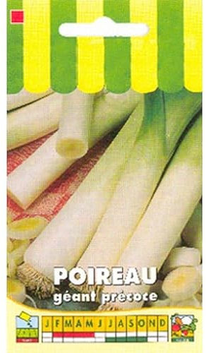 Sachet de graines de Poireau géant précoce - 4 g - légume bulbe - LES GRAINES BOCQUET