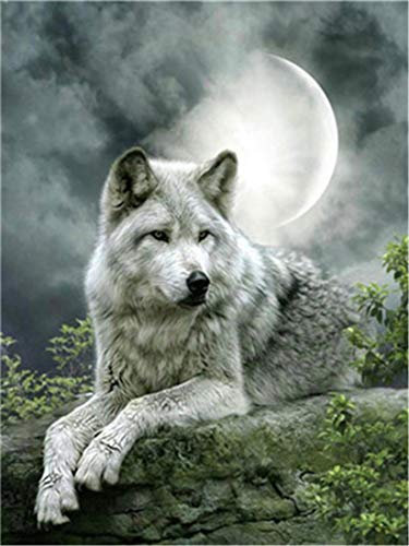 CaptainCrafts Malen nach Zahlen Erwachsene, DIY Ölmalerei Malen nach Zahlen Enthält Leinwand Pinsel und Pigmente Warme Geschenke Haus Dekor 16X20'' (Mit Rahmen, Wolf unter dem Mond)