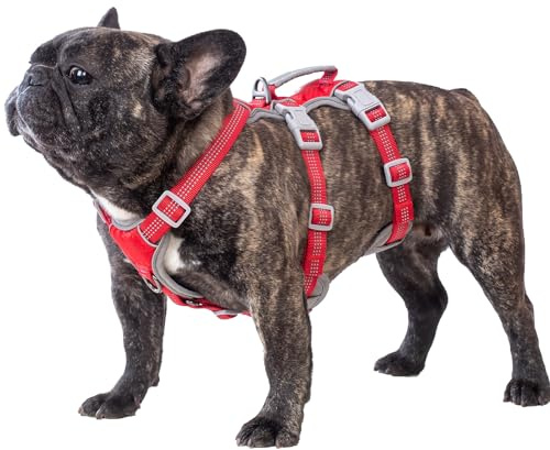 Hundsele utan flyktmöjlighet, Flyktartist sele, Reflekterande sele med vadderat handtag, Andningsbar, Hållbar, Justerbar väst för små hundar vid promenader, träning och löpning (Röd, S)