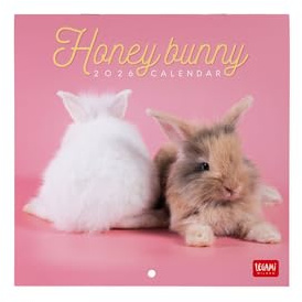 Legami - Calendrier Mural 2026, Honey Bunny, Petit Calendrier Mural, 12 Mois et Planificateur D'année, En 6 Langues, Espace pour Notes, Signes du Zodiaque, Jours Fériés Internationaux, 18 X 18 Cm