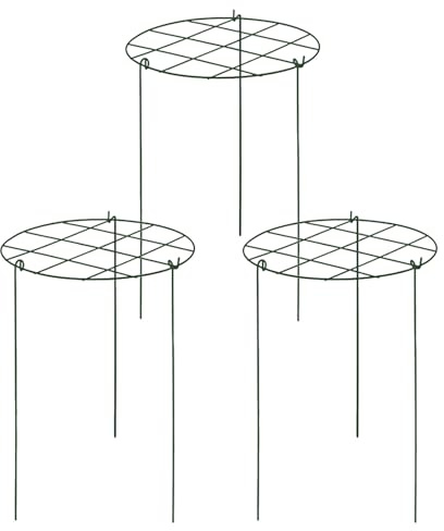 Tutor para Plantas Interior | Tutor Metálico 3 Piezas Pequeño,Soporte Vid para Pepino UVA Rosa Tomate Hortaliza Jazmín Clematis Patio Casa