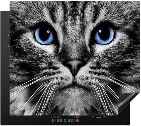 KitchenYeah© Protège Plaque Induction Deco Cuisine Accessoire Pratique | 58x51 cm - Protection De Vitroceramique Kitchen Gadget Chat - Noir - Blanc - Yeux - Bleu
