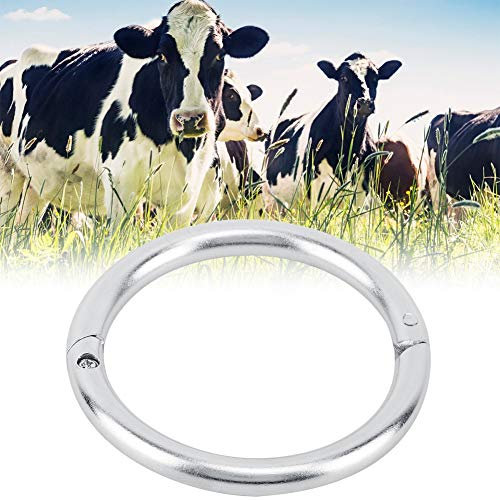 Nasenring für Bullen, Nasenring für Bullen aus Edelstahl, Zubehör für die Tierhaltung (Mittel)