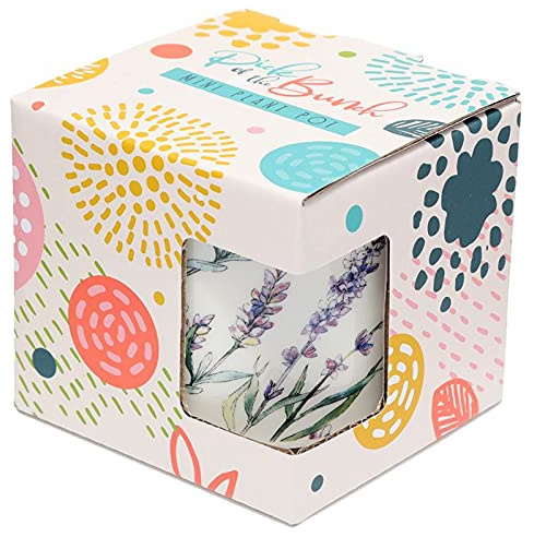 Puckator Pot pour Plante d´Intérieur Pick of The Bunch-Fleurs Champs de Lavande (Petit) Macetas para Flores, Multicolor, único