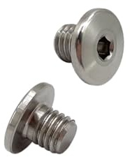 RISON-Titanium 2 Stück Titan Fahrrad Bremshebel Schrauben Set, M5 Titanschrauben Ölzylinderdeckelschrauben, Fahrrad Hydraulische Bremsschraube für Shimano XT Bremshebel Ölkappe Schrauben