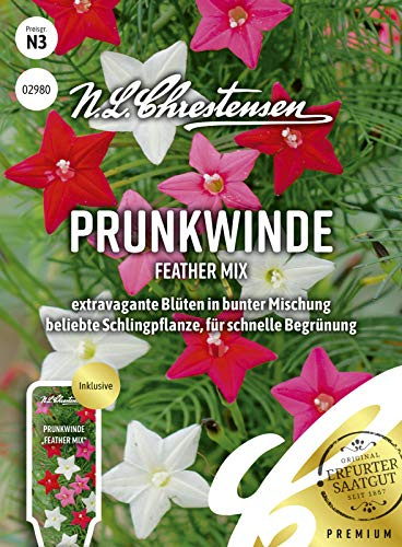 Prunkwinde Feather Mix Samen, Saatgut
