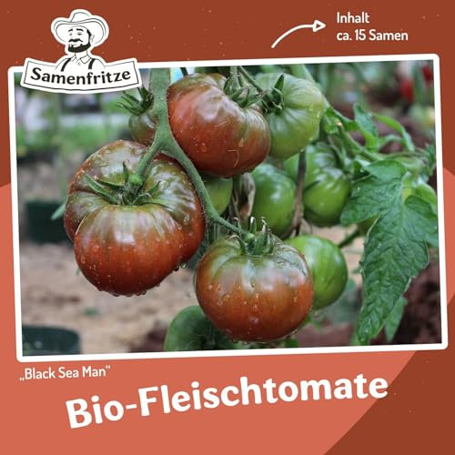 Black Sea Man Bio-Tomatensamen