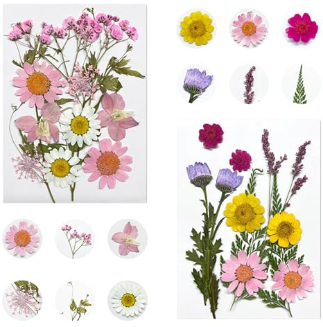 XoeLLe 24 Pezzi Fiori per Torte, Decorazioni Torta Compleanno, Decorazioni Torta, Fiorellini per Bomboniere, Adatte a Matrimoni, Compleanni, Baby Shower, Anniversari, Natale e Festa dei Bambini