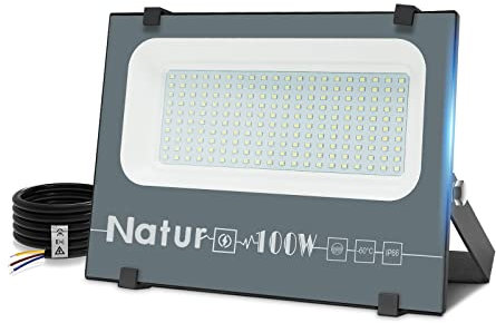 Natur 100W LED Foco Exterior alto brillo 10000LM,Impermeable IP66 Proyector Foco LED, Iluminación de Seguridad,Blanco cálido(3000K) para Patio,Camino, Jardín[Clase de eficiencia energética A++]