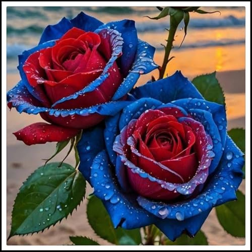 Resistente al frío - Raíces de rosas - Vertical - Decoración paisajística para terraza y jardín - /【CXXFGFT】.-1 rizoma-D