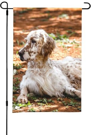 Setter inglese Autumn Pets Cani Inglese,Bandiera da giardino per esterni e interni, stendardo decorativo bifacciale 30x45 cm