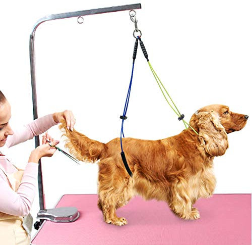 HelloCreate Verstellbare Fellpflegeleine für Haustiere, mit Klemme nicht im Lieferumfang enthalten, für Hunde, 62 cm, 50 cm, Gelb und Blau, Gelb und Grün (optional)