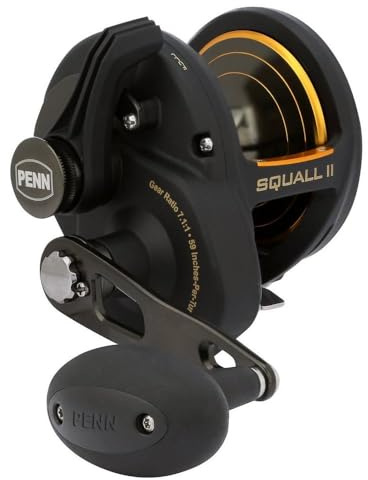 PENN Squall II Lever Drag Angelrolle, Größe 40, Graphitkörper und Seitenplatten, Haupt- und Ritzelgetriebe aus Edelstahl, leistungsstarker PENN Dura-Drag