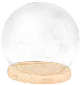 Dôme de présentation avec socle transparent en verre - 15 cm - Base en bois