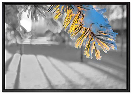 Pixxprint Tannenzweig im Winter Leinwandbild 100x70 cm im Bilderahmen, Wandbild, Schattenfugenrahmen, Kein Poster