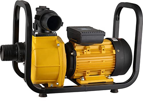 Pompa d'Acqua Portatile Motopompa Autoadescante Pompa Max. Prevalenza 25 M Pompa da Giardino per Irrigazione da Giardino Piscina 2/3/4 Pollici (50/75/100 Mm),3kw-220V-3inch