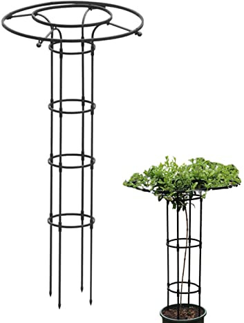 Rosensäule, Rankhilfe für Tomaten und Gurken, Metall, Stabil Wetterfest Garten Rankgitter Rankhilfe Ranksäule Metallsäule Gartensäule