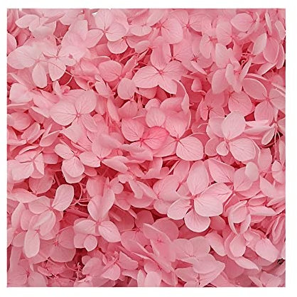 Fiori di ciliegio rosa secchi, piccole foglie conservate decorazione per artigianato fai da te fiori materiale accessorio, fiori pressati per candele artigianato, matrimonio fai da te forniture