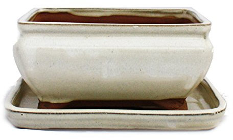 exotenherz Bonsai-Schale mit Unterteller Gr. 2 - Hellbeige - eckig - Modell G81 - L 14,5cm - B 11,5cm - H 6,5cm