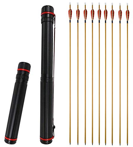 ZSHJG 10pcs Carbonpfeile 31 Zoll Pfeil für Bogenschießen Spine 900 Carbon Pfeile mit Naturfedern Bogenpfeile Jagd Pfeile für Compound und Recurvebogen