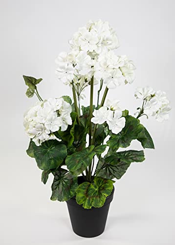 Seidenblumen Roß Künstliche Geranie im Topf 44cm JA Kunstblumen künstliche Pelargonium Blumen Pflanzen (Weiß)