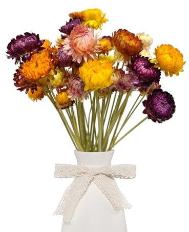 CoolCrafts 40 Mazzi di Fiori Secchi Decorativi per Vaso Bouquet di Fiori di Paglia Essiccati Naturali (Colori Misti)