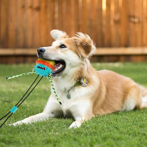 JEJUWE Dog Suction Cup Tug Toy Wear-Resistant Sucker Ball Dog Toy Tough Dog Tug Ball Sucker Dog Toys Stimulating Teething Chew Toy for Aggressive Chewers !(Style 1)