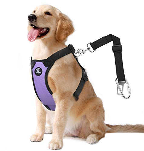 VavoPaw Dog Seat Belt, Safety Vest Dog Car Harness with Adjustable Buckle Dogs Seat Belt for Vehicle Nylon Pet Safety Seats Belts Heavy Duty(L, Purple)