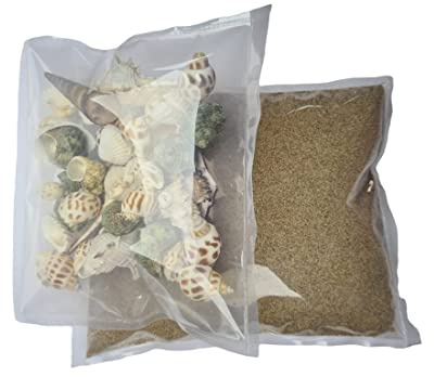 Coquillages décoratifs et sable doré de la mer, Kit Complétez votre plage à la maison.