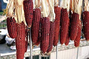 60 Samen/Pack, Weiß Chili Peppers Samen, Topf Balkon Bio-Gemüse-Chili-Samen